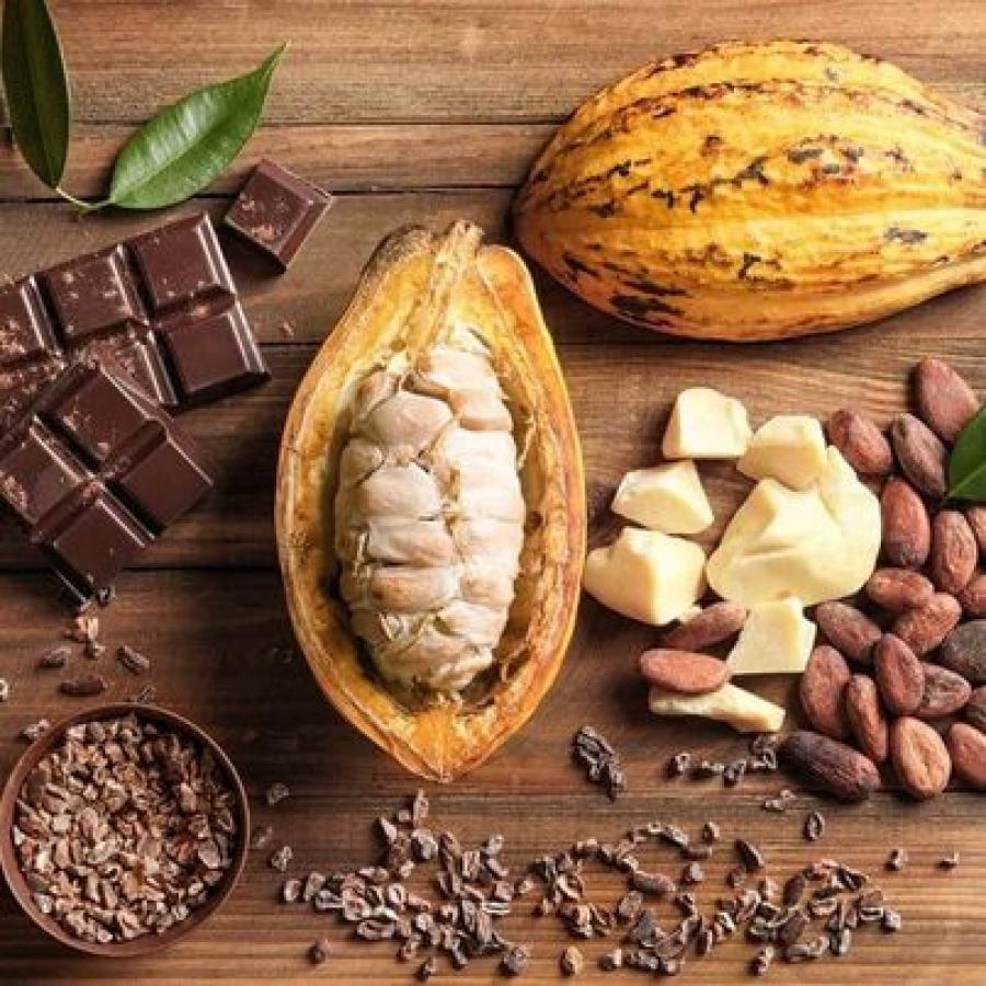 Almendras de CACAO para elaborar Chocolate o Cacaco en Polvo