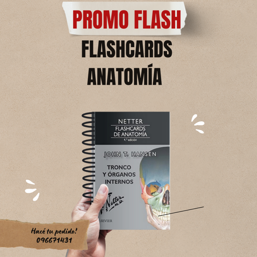 Flashcards Anatomía Netter