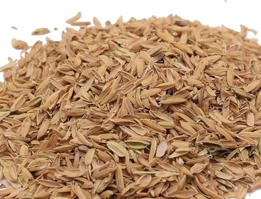 CÁSCARAS DE ARROZ 5 LT