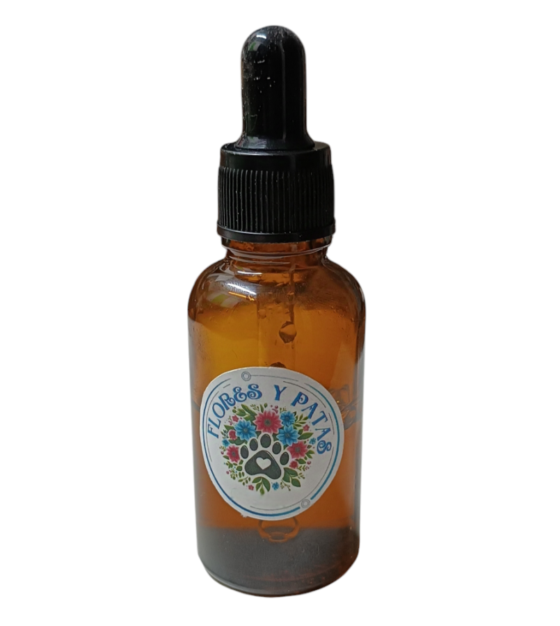 Ansiedad y Reactividad 