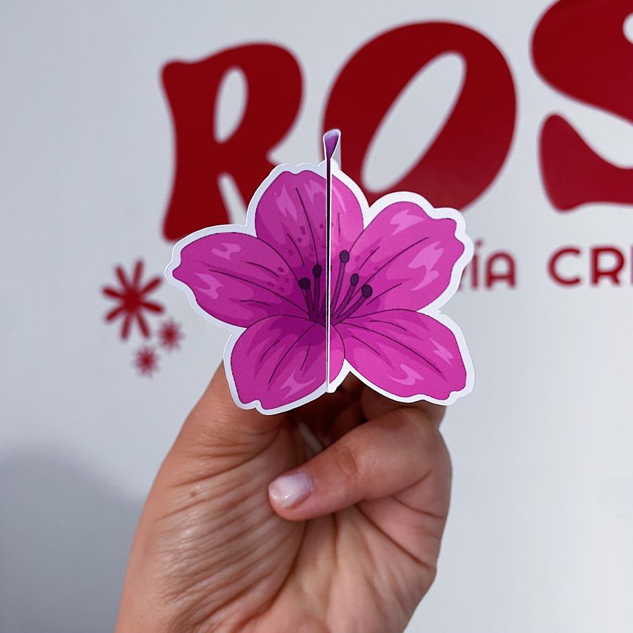 Tarjeta presentación plegable x25